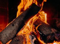 burning wood on fire pit