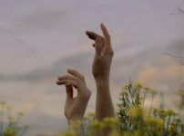 two hands of people laying on flowery meadow stretched out to sky