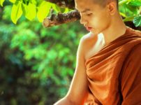 bhikkhu book boy buddhism